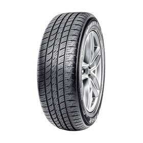 Radar Tires Dsc0299 Dimax As 8 245/40r20 99w Bsw