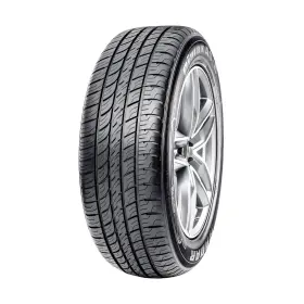 Dsc0299 Radar Tires Dimax As 8 245/40r20 99w Bsw