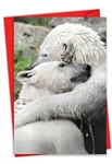 1 Valentine's Day Card With Envelope - Bear Hugs C6327BVDG New. Price: $7.84.